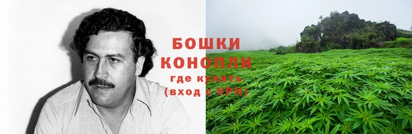 шишки Вязьма
