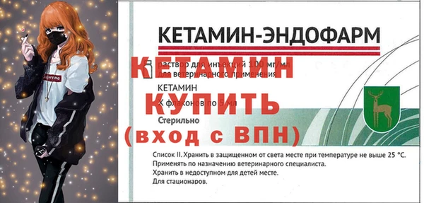 крисы Вязники