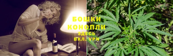 шишки Вязьма
